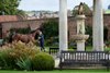 Yearlings are examined by buyers and sellers  at Tattersalls on the first day of Book 1
Newmarket 8.10.24 Pic: Edward Whitaker