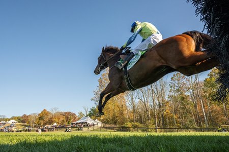 Snap Decision on his way to victory in the American Grand National at Far Hills