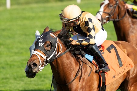 Governor Sam wins the 2024 Indian Summer Stakes at Keeneland