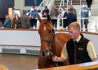 Lot 39 Dubawi (IRE) / Waldlied (GB) Ch.F. (GB)   	Newsells Park Stud Ltd.	Richard Knight / Salhia Stud	925,000
Tattersalls 
October Yearling Sale
Book 1
2024-10-08
