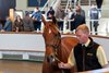 Lot 39 Dubawi (IRE) / Waldlied (GB) Ch.F. (GB)   	Newsells Park Stud Ltd.	Richard Knight / Salhia Stud	925,000
Tattersalls 
October Yearling Sale
Book 1
2024-10-08
