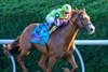 Carl Spackler with Tyler Gaffalione wins the Coolmore Turf Mile (G1T) at Keeneland in Lexington, Ky. on October 5, 2024
