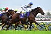 2024 Tenno Sho (Emperors&quot; Cup- Autumn) won by Do Deuce, ridden by Yutaka Take, trained by Yasuo Tomomichi, and owned by Kieffers Co., Ltd. Photos by Katsumi Saito