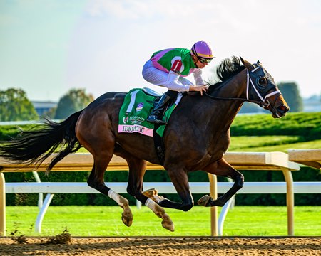 Idiomatic wins the Spinster Stakes at Keeneland