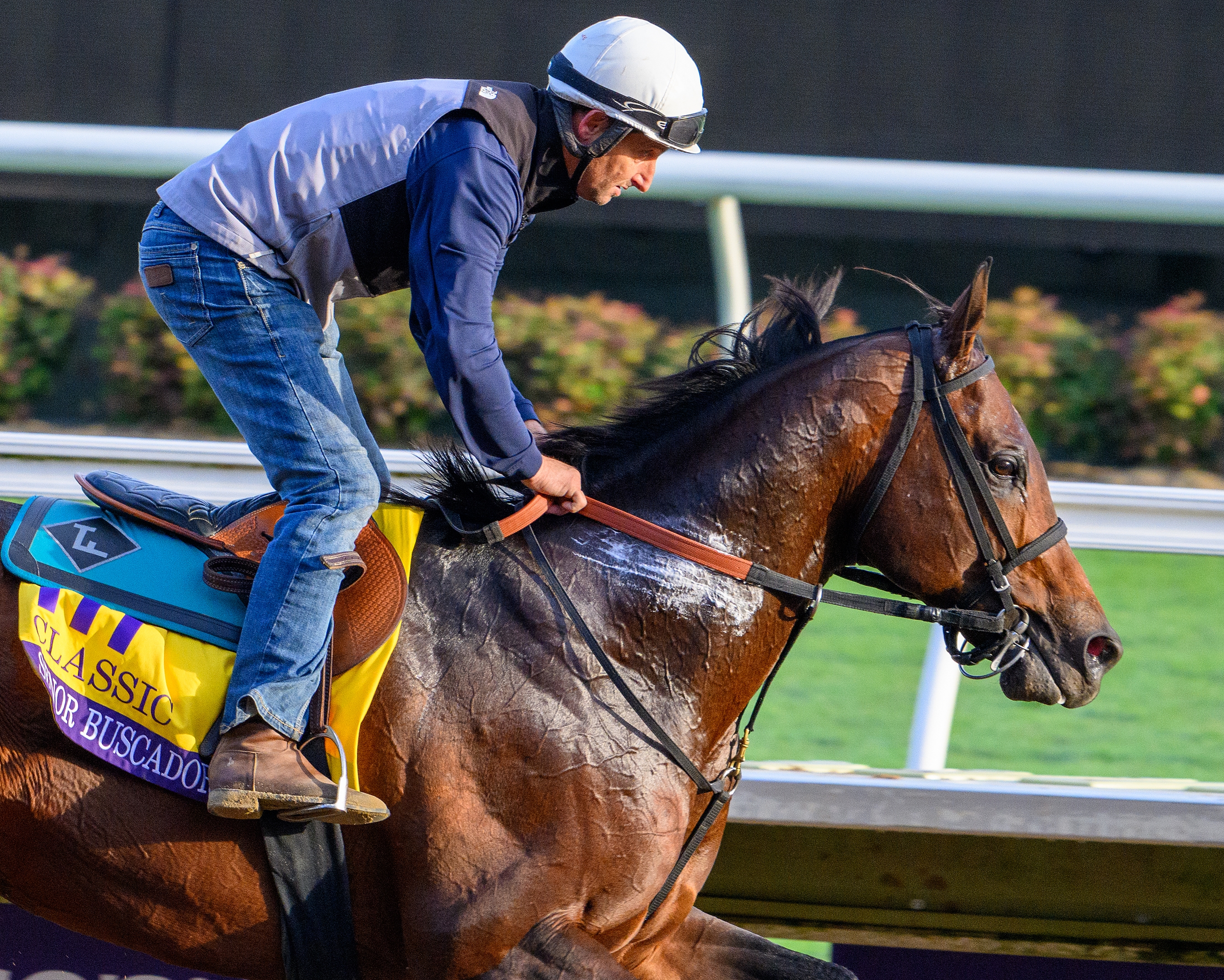 Meet the Field for the 2024 Breeders' Cup Classic - Slideshow