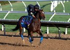 Breeders’ Cup contender Getaway Car gallops this morning during the exercise period at the Delmar Race Track Wednesday Oct. 30, 2024 in San Diego, CA.    Photo by Skip Dickstein 