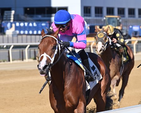 Sacrosanct wins the Sleepy Hollow Stakes at Aqueduct Racetrack