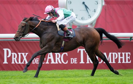 Bluestocking wins the 2024 Prix de l'Arc de Triomphe at ParisLongchamp