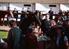 2024 Arqana October Yearling Sale
Arqana Deauville, 24/10/2024, photo: Zuzanna Lupa