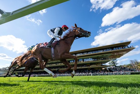 Kyprios wins the Prix du Cadran at ParisLongchamp 