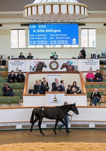 The Wootton Bassett colt consigned as Lot 332 sells for 4.3 million guineas at the Tattersalls October Yearling Sale