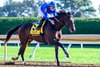 East Avenue with Tyler Gaffalione wins the Claiborne Breeders’ Futurity (G1) at Keeneland in Lexington, Ky. on October 5, 2024
