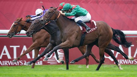 Zarigana (outside) is narrowly beaten by Vertical Blue (middle) in the 2024 Prix Marcel Boussac at ParisLongchamp