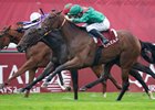 Vertical Blue (red and green) beats stable mate Zarigana (nearest) and Exactly (farside) in the Prix Marcel Boussac
Longchamp 6.10.24 Pic: Edward Whitaker