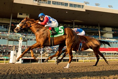 Dresden Row wins the 2024 Ontario Derby at Woodbine