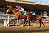 Jockey Ryan Munger guides Dresden Row to victory in the 2024 Ontario Derby for owner True North Stables and Bloom Racing Stable and trainer Lorne Richards