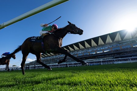 Racing at Ascot Racecourse