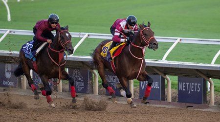 Forever Young training for the Breeders' Cup Classic at Del Mar