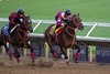 Breeders’ Cup contender Forever Young works in tandem this morning during the exercise period at the Delmar Race Track Tuesday Oct. 29, 2024 in San Diego, CA.    Photo by Skip Dickstein 