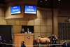 Hip 241, 2024 Fasig-Tipton October Sale