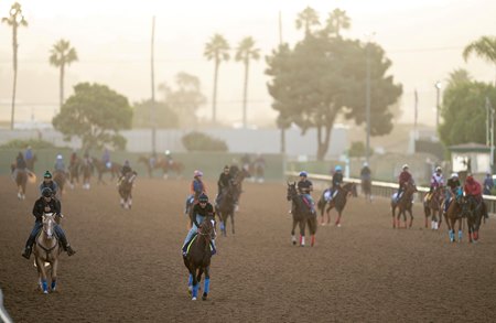 Breeders' Cup contenders on the track at Del Mar