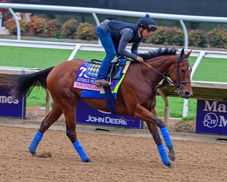 Non Compliant trains Oct. 28 at Del Mar 