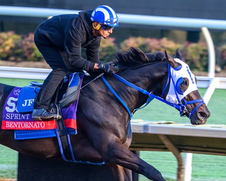 Bentornato trains in October at Del Mar