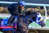 Bentornato
Breeders’ Cup contenders training at Del Mar in Del Mar, California, on Oct. 26, 2024. 