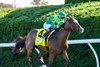 Gina Romantica with Jose Ortiz wins the First Lady(G1T) Presented by UK Healthcare at Keeneland in Lexington, Ky. on October 5, 2024
