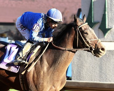 Sovereignty - Horse Profile - BloodHorse