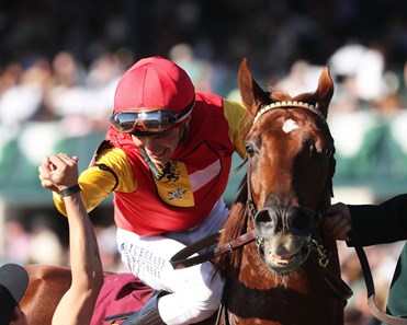 Brunacini - Horse Profile - BloodHorse