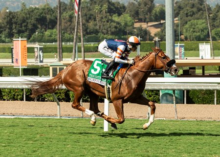 Thought Process captures the 2024 Surfer Girl Stakes at Santa Anita Park