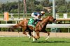 Thought Process and jockey Hector Berrios win the Grade III, $100,000 Surfer Girl Stakes, Sunday, October 6, 2024 at Santa Anita Park, Arcadia CA.
&#169; BENOIT PHOTO