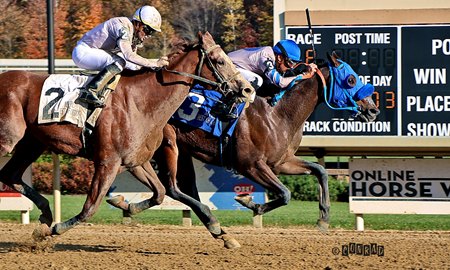 Superwolf wins the Best of Ohio Juvenile Stakes at Mahoning Valley Race Course