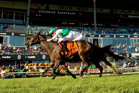 Mouffy wins the 2024 Dance Smartly Stakes at Woodbine