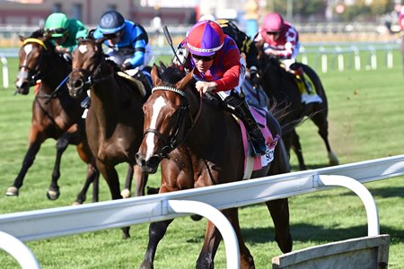 Scythian wins the Miss Grillo Stakes at Aqueduct Racetrack