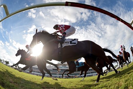 Racing at Gulfstream Park