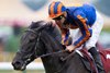Camille Pissarro (Christophe Soumillon) wins the Prix Jean-Luc Lagardere
Longchamp 6.10.24 Pic: Edward Whitaker