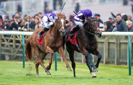 Delacroix (right) battles Stanhope Gardens to the wire in the Autumn Stakes at Newmarket Racecourse