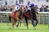 Delacroix (Ryan Moore,right) beats Stanhope Gardens (Rossa Ryan) in the Autumn Stakes
Newmarket 12.10.24 Pic: Edward Whitaker