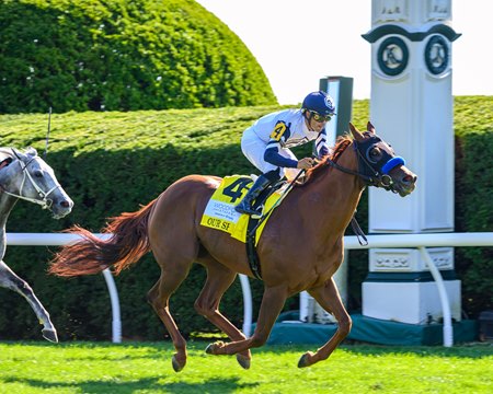 Our Shot wins the Woodford Stakes at Keeneland