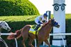 Our Shot with Luis Saez wins the Woodford (G2) Presented by FanFuel at Keeneland in Lexington, Ky. on October 5, 2024
