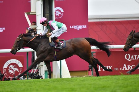 Bluestocking wins the 2024 Prix de l'Arc de Triomphe at Longchamp