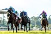 John M.B. O’Connor’s Atitlan and jockey Hector I. Berrios, left, win the Grade II $200,000 Twilight Derby  Saturday, October 26, 2024 at Santa Anita Park, Arcadia, CA.
Benoit Photo