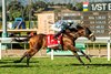 John M.B. O’Connor’s Atitlan and jockey Hector I. Berrios win the Grade II $200,000 Twilight Derby  Saturday, October 26, 2024 at Santa Anita Park, Arcadia, CA.
Benoit Photo