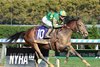 Chancer McPatrick wins the 2024 Champagne Stakes at Aqueduct Racetrack