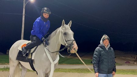 Assistant trainer Justin Atkins leads Next and jockey Luan Machado to the track at Turfway Park