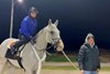 Next and jockey Luan Machado are led to the Turfway Park track by assistant trainer Justin Atkins ahead of his five-furlong breeze in 1:00 3/5