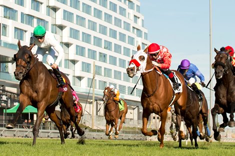 Woodbine's E.P. Taylor Turf Course to Reopen Aug. 8
