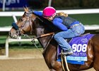 Breeders’ Cup contender Iron Man Cal gets an ear scratch before he gallops this morning during the exercise period at the Delmar Race Track Wednesday Oct. 30, 2024 in San Diego, CA.    Photo by Skip Dickstein 